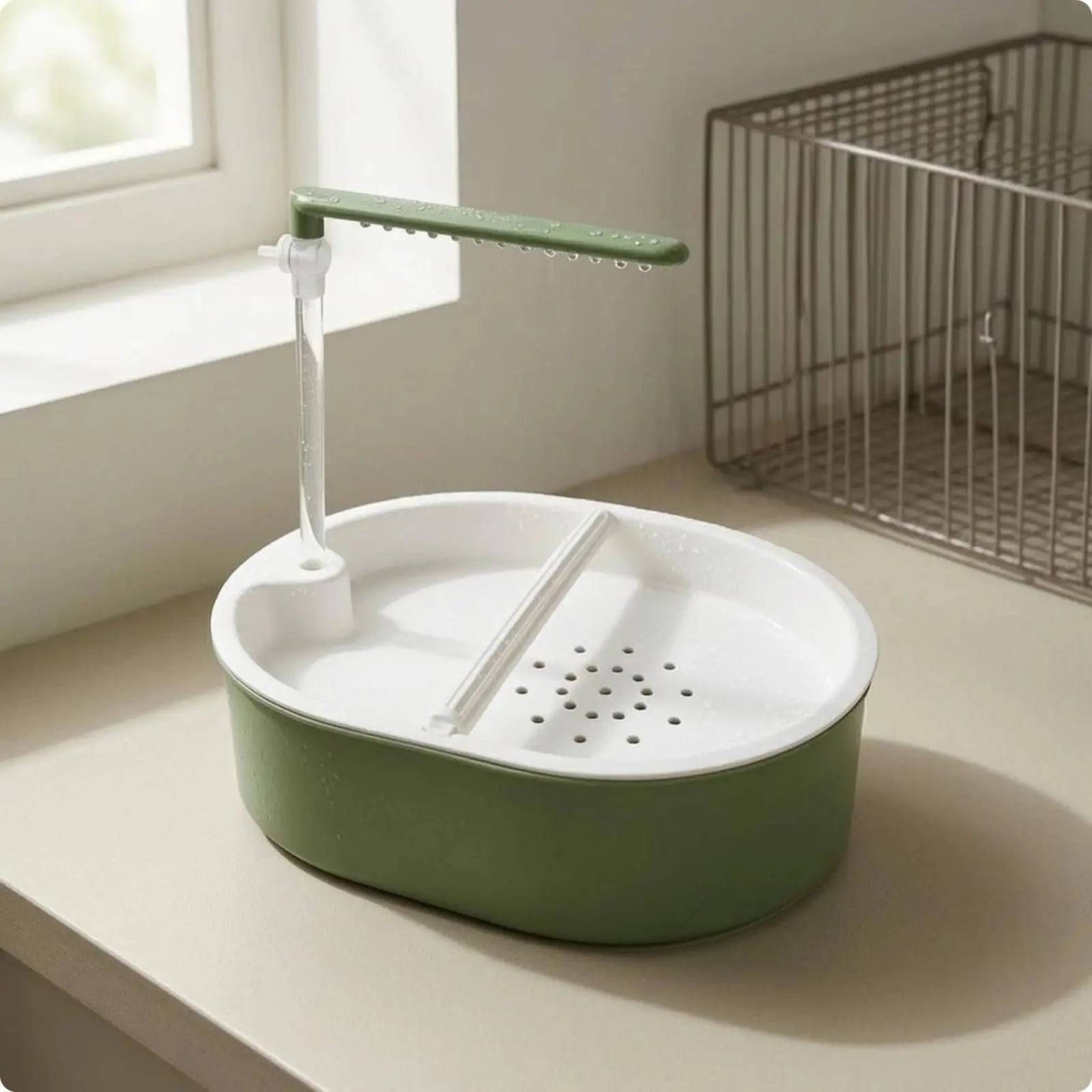 Parrot Bath Basin Green and White Bird Shower Bath Parrot Bathtub Plastic Pet Accessory Transparent My Store