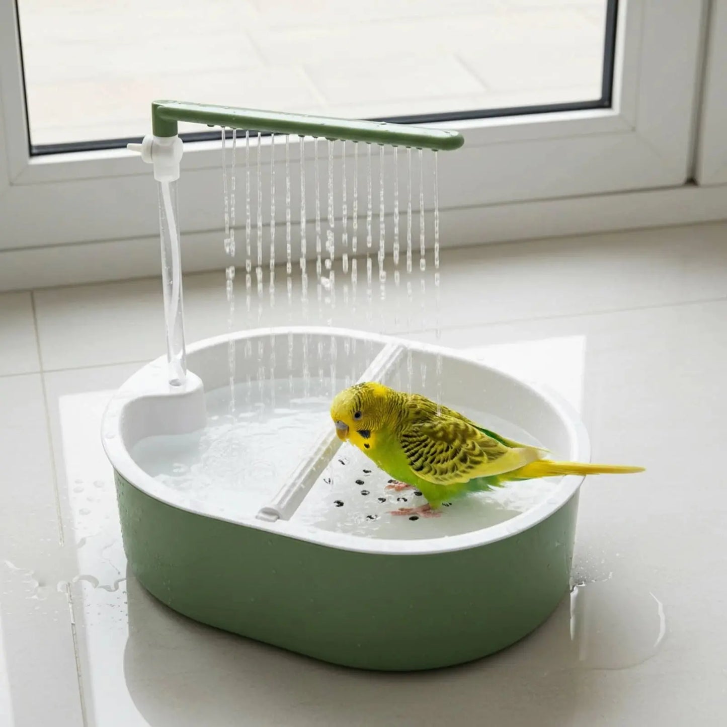 Parrot Bath Basin Green and White Bird Shower Bath Parrot Bathtub Plastic Pet Accessory Transparent My Store