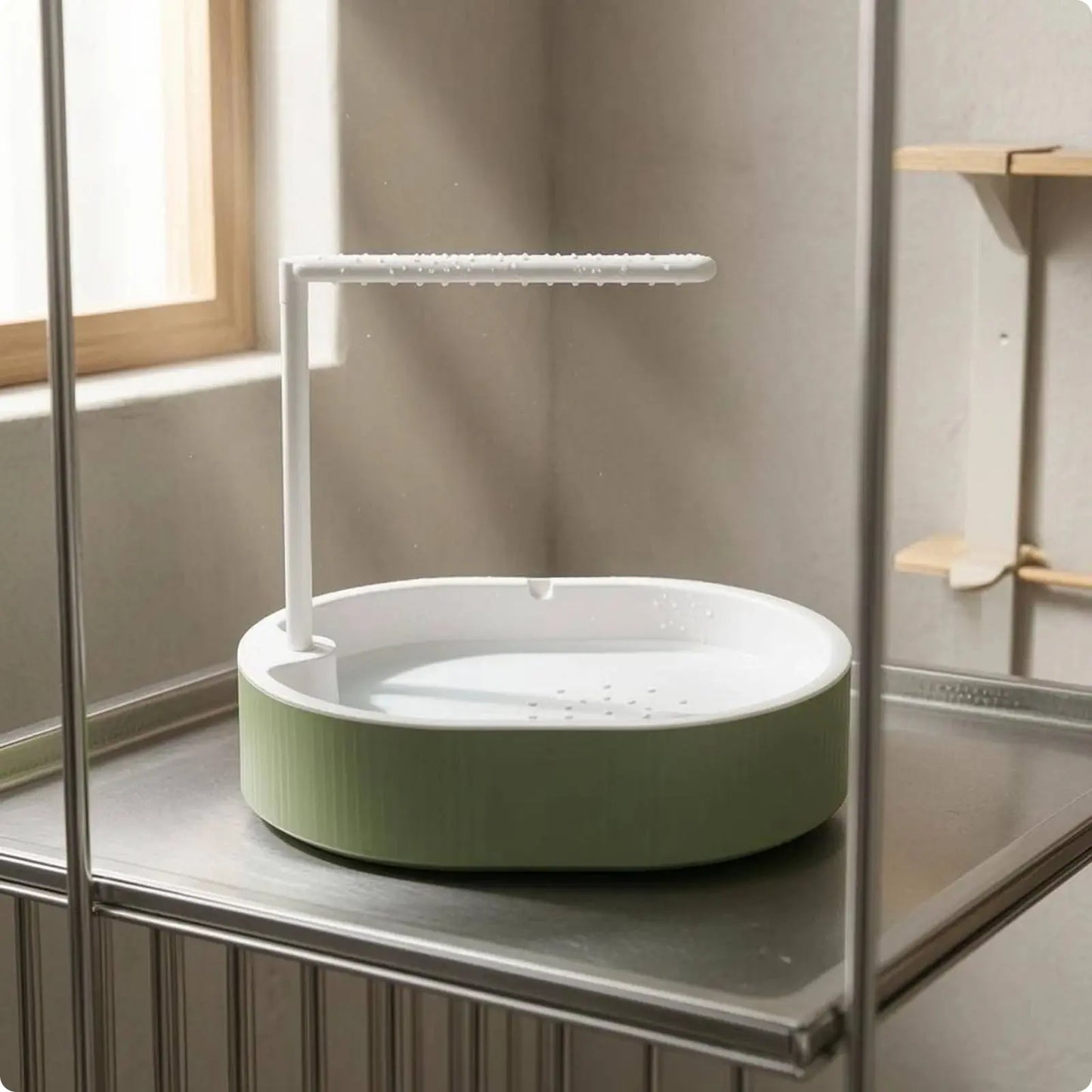 Parrot Bath Basin Green and White Bird Shower Bath Parrot Bathtub Plastic Pet Accessory Transparent My Store