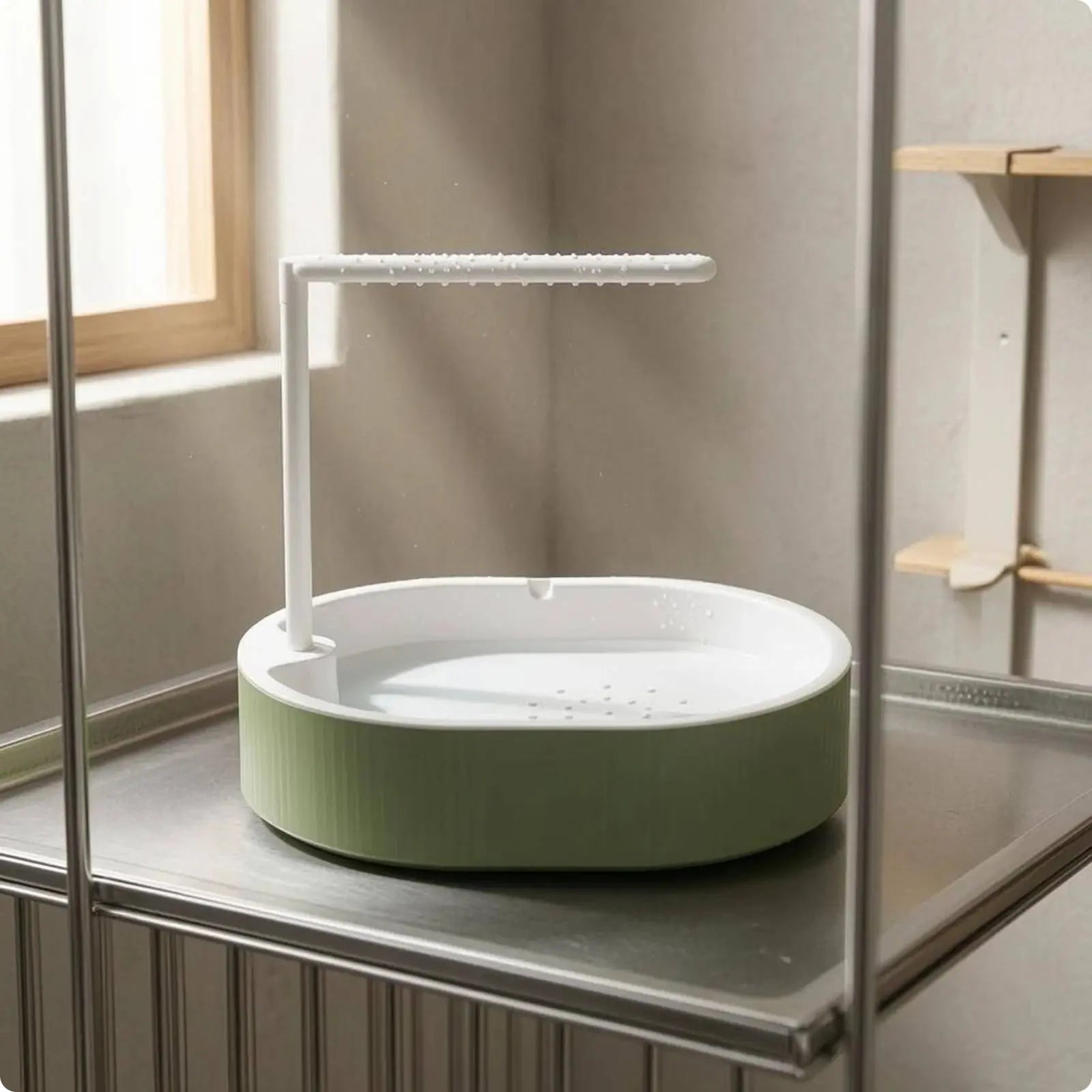 Parrot Bath Basin Green and White Bird Shower Bath Parrot Bathtub Plastic Pet Accessory Transparent My Store